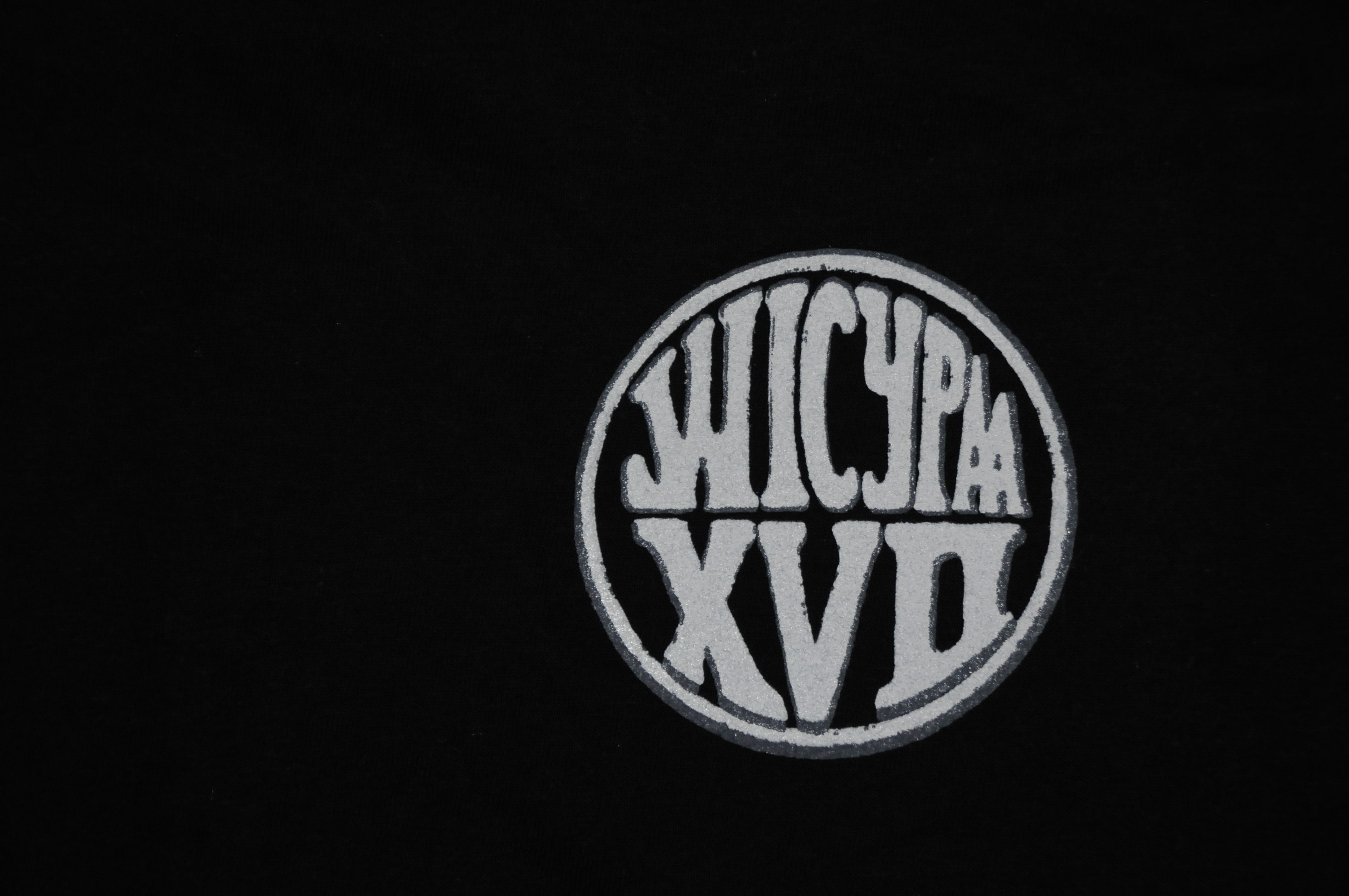 WICYPAA XVII Slogan